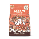 Chicken & Salmon Dry Food for Puppies