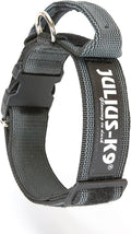 Julius-K9 Color with Handle and Interchangeable Patch