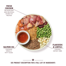 Chicken & Salmon Dry Food for Puppies