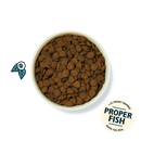 Salmon Dry Food