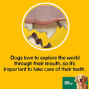 Pedigree Dog Treat for Large Dogs, Dentastix Daily Dental Chews, 28 Sticks