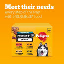 Pedigree Adult Dog Food Pouches Protein+ Chunks in Jelly 48 x 85 g Multipack