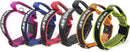 Julius-K9 Color with Handle and Interchangeable Patch
