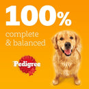 Pedigree Adult - Wet Dog Food - for Adult Dogs - Can Meaty Meals in Jelly - 6 x 400g