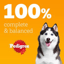 Pedigree Adult Dog Food Pouches Protein+ Chunks in Jelly 48 x 85 g Multipack