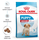 Medium Puppy Dry food for dogs