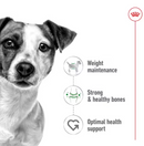 Mini Adult - Complete feed for dogs - For adult small breed dogs (up to 10 kg) - Over 10 months old