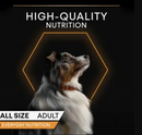 PRO PLAN Everyday Nutrition Turkey in Jelly Wet Dog Food