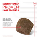 Adult Digestion Supplement 160g Supplements for dog