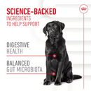 Adult Digestion Supplement 160g Supplements for dog