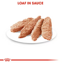 Digestive Care Loaf Wet food for dogs